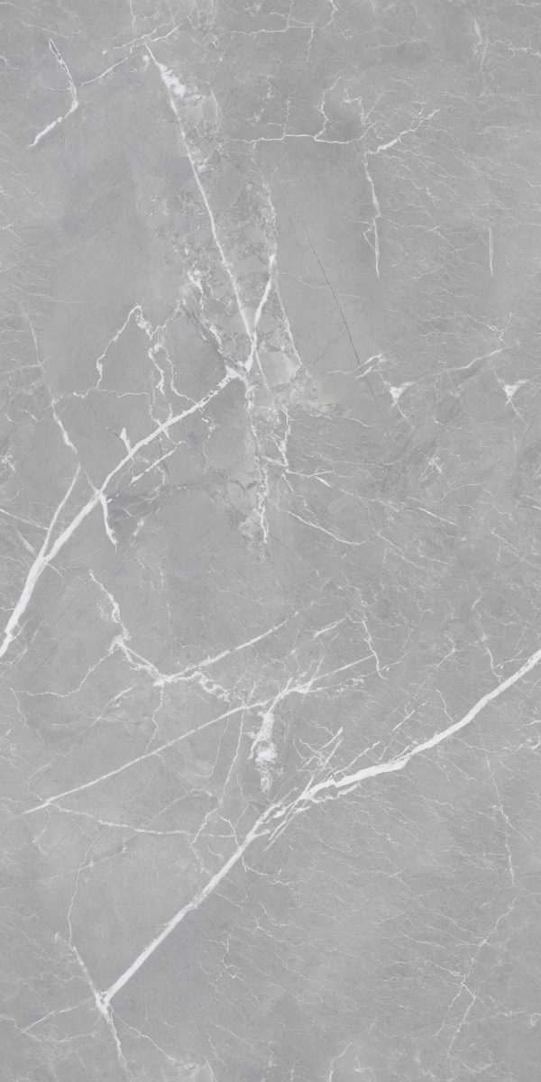 Steel Grey 60X120 CM