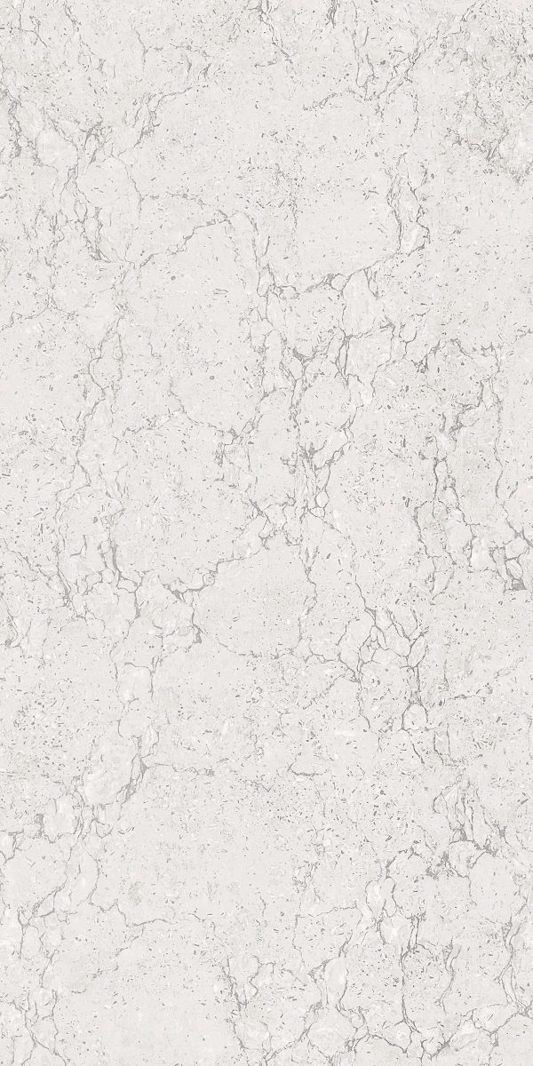 MERCURY GREY 60X120 CM