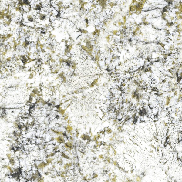 Moss Green 60X60 CM