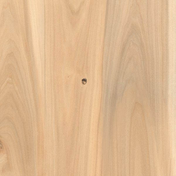 ASH WOOD CREMA 60X60 CM