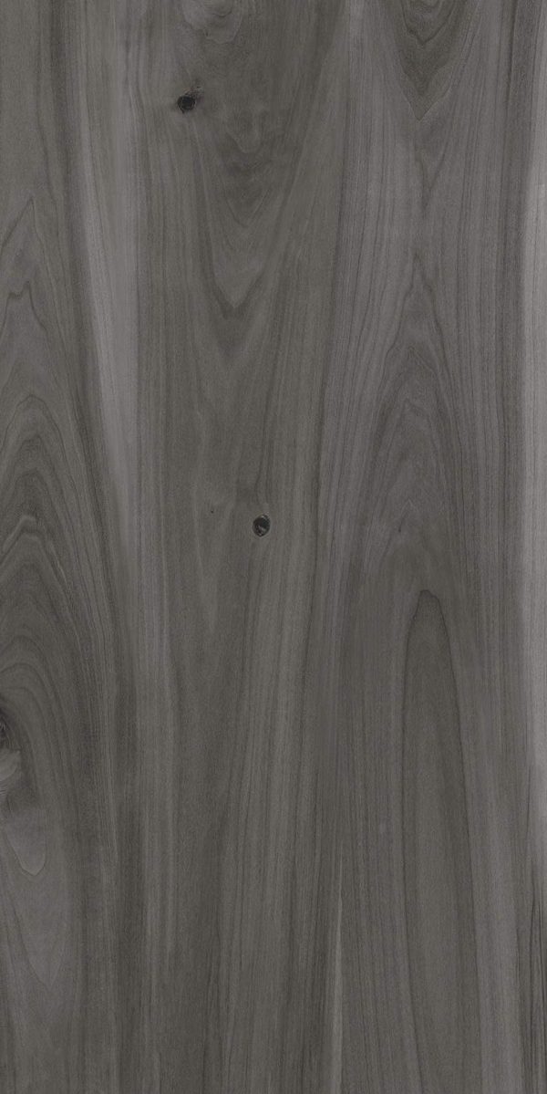 ASH WOOD GREY 60X120 rotated ASH WOOD GREY 60X120 CM