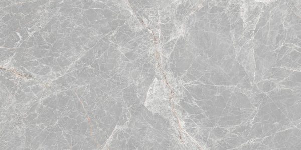 CASTOR GREY 30X60 CM