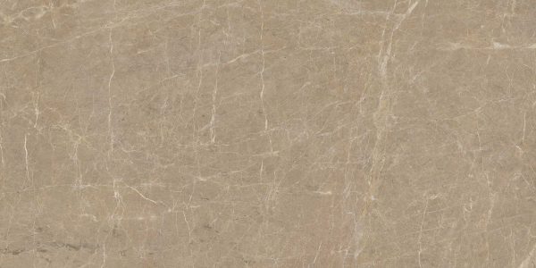 EBONY  GOLD 30X60 CM