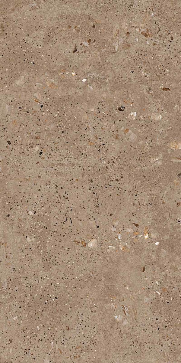 FLASH BROWN 60X120 CM