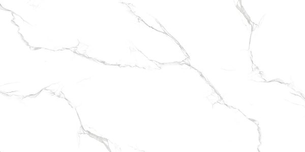 LIBARTO SATVARIO 30X60 CM