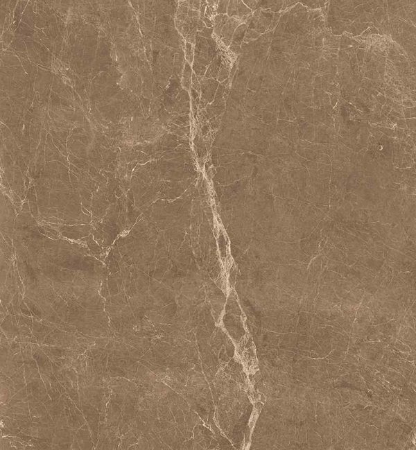 LIZARD BROWN 60X60 CM