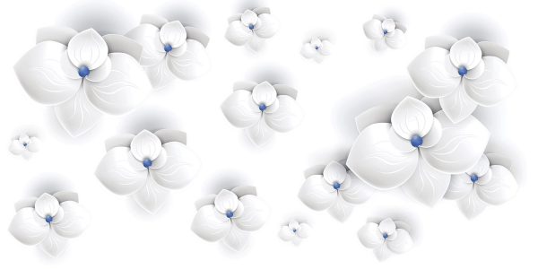 SP 0014 3D 1 rotated White Orchid Vector 30X60 CM